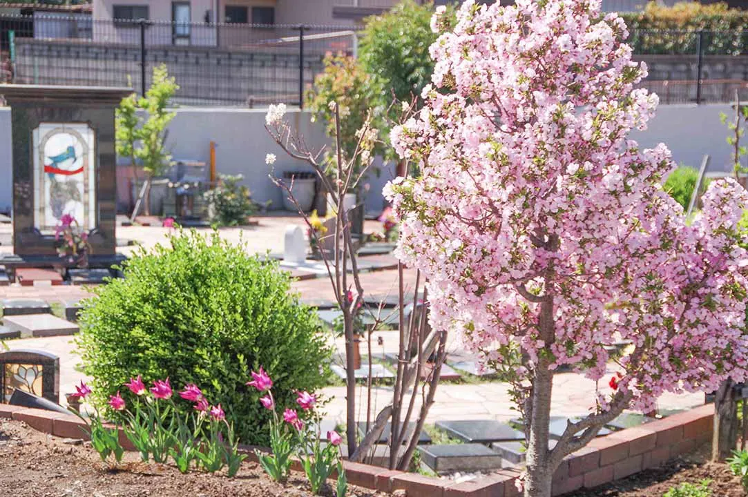 舎人墓苑　光明