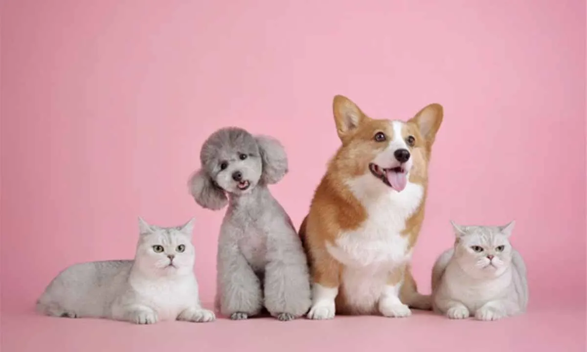 のと輪島樹木葬のぞみ 愛するペットと一緒に眠れます