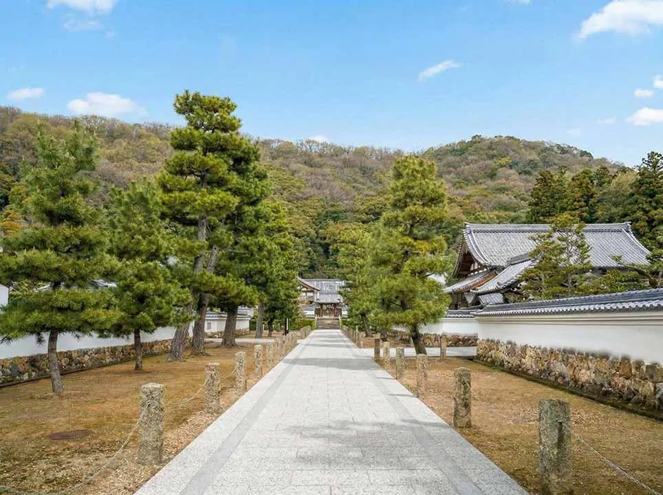 岐阜霊園 天澤院 参道