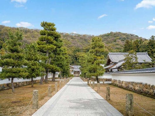 岐阜霊園 天澤院