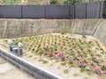 坂海望霊園