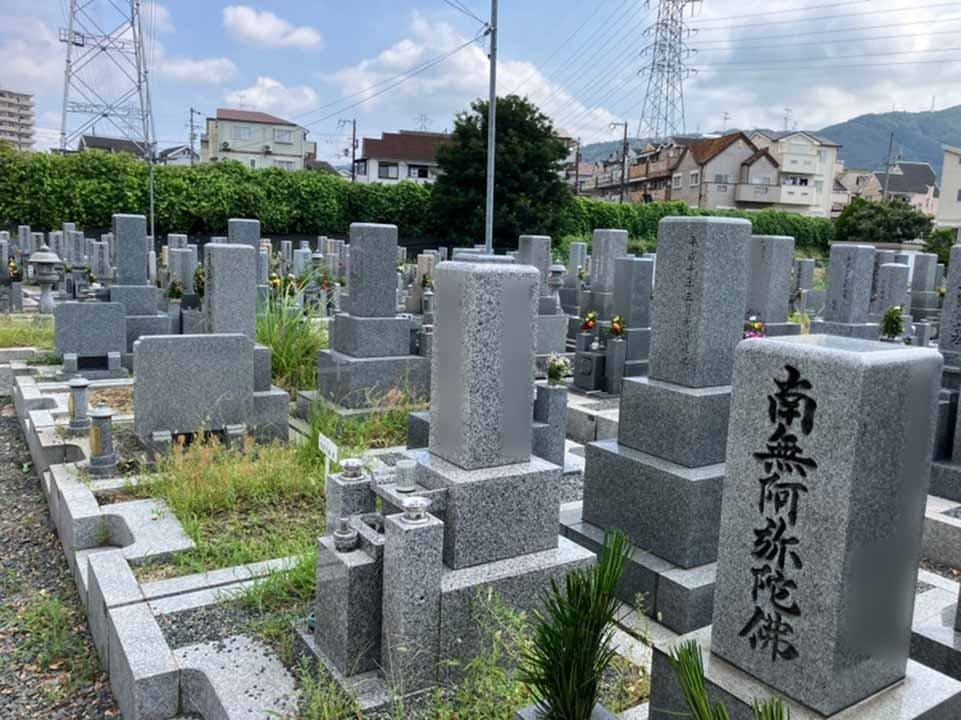 植附・芝墓地の画像