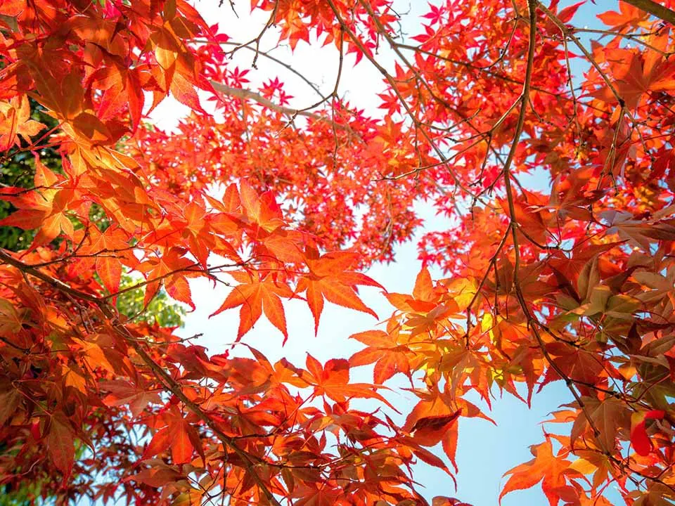 奈良霊園　蓮長寺