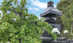 四天尊勝覚寺 樹木葬