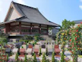 バラと眠る大垣樹木葬