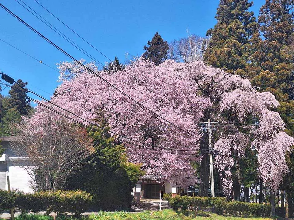 メモリアルパーク花の里