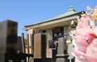 雪峰院長泉寺 墓地からみた本堂