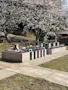 翠桜苑　東金　(永代墓 個人墓　合祀)