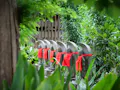 長昌寺 清蓮の苑 お地蔵様