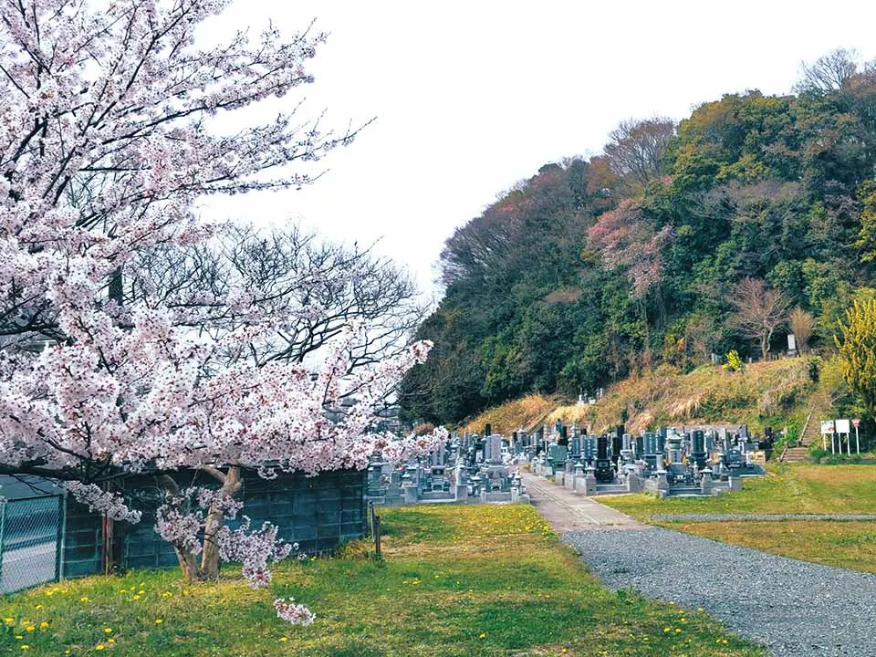遍照院　永代供養墓・樹木葬「阿字廟」 一般墓にも空きあり。平地でお参りしやすい環境です。