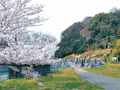 遍照院　永代供養墓・樹木葬「阿字廟」 歴史ある本堂。希望により個別の法要にも対応。