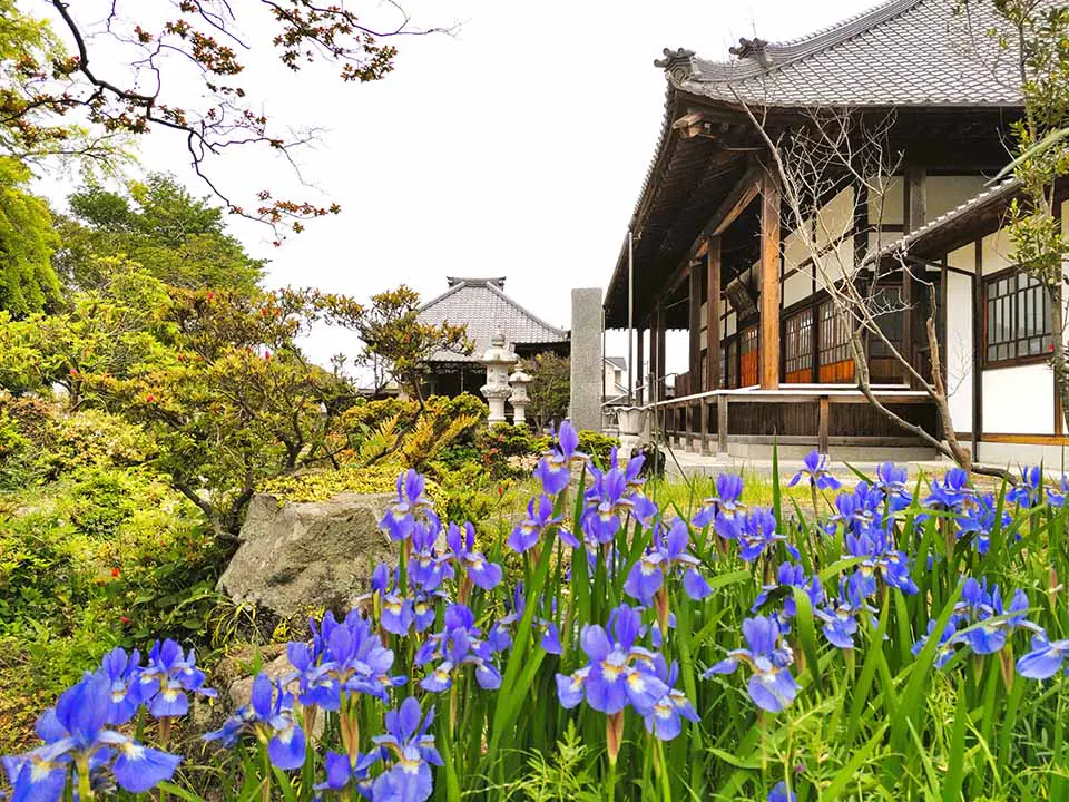 遍照院　永代供養墓・樹木葬「阿字廟」 自然豊かな境内で四季折々の草花も楽しめます