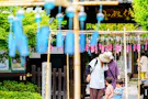 島田霊園　林入寺 風鈴祭り