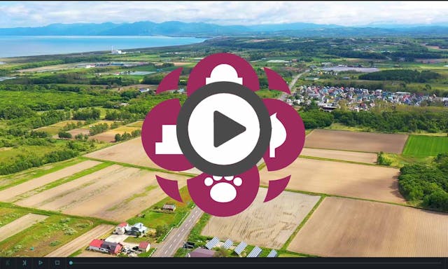 石狩はまなす墓苑