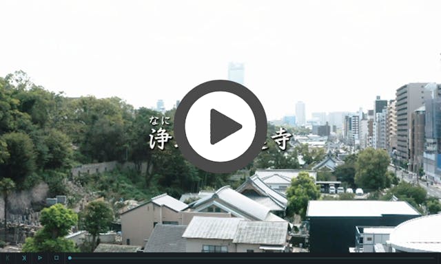 大蓮寺 永代供養墓・納骨堂・一般墓・樹木葬