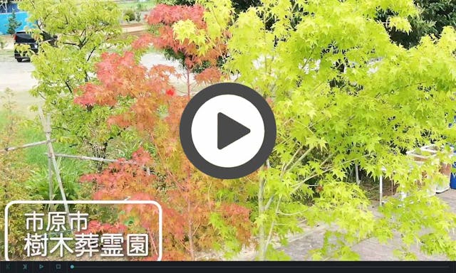 市原市樹木葬霊園