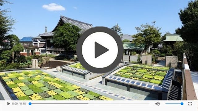 自由が丘樹林霊園 パドマ