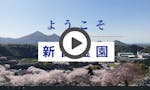新宮霊園 樹木葬