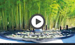 世田谷 樹木葬 『竹林葬』