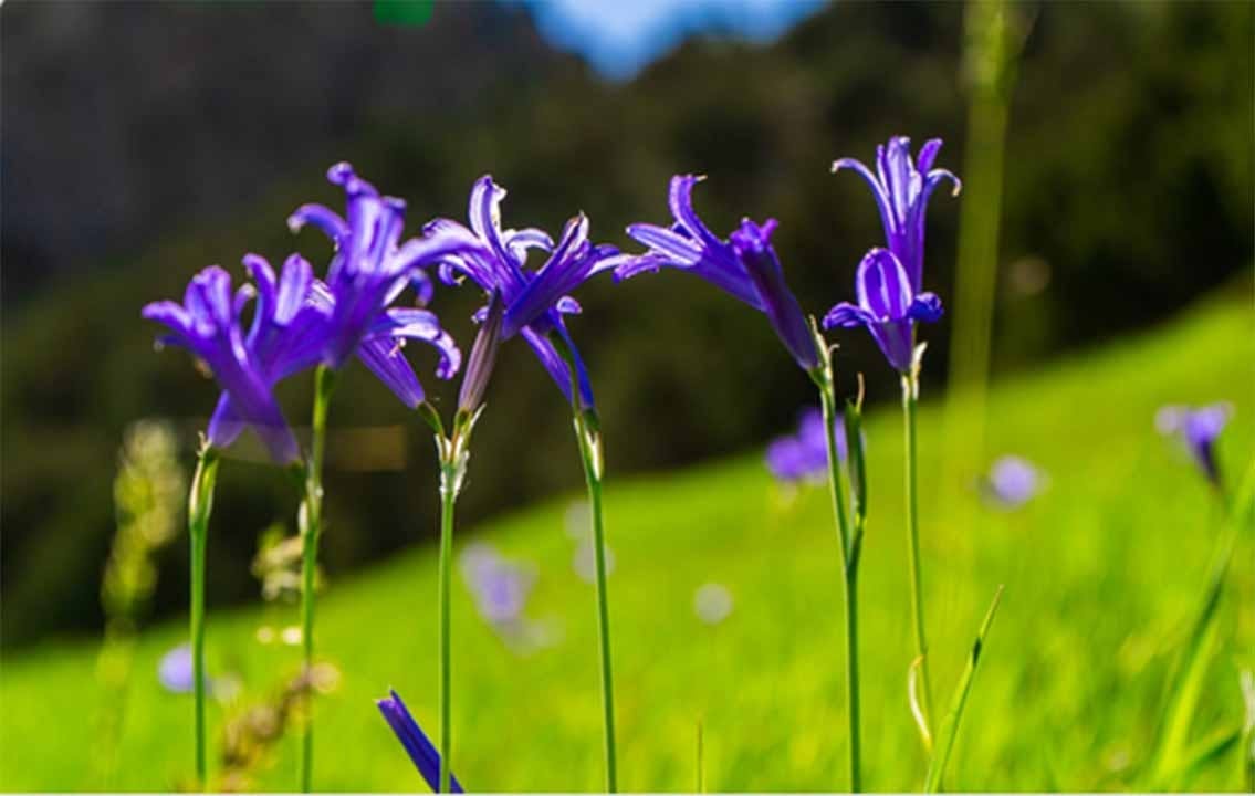 株式会社ひなた石材の画像