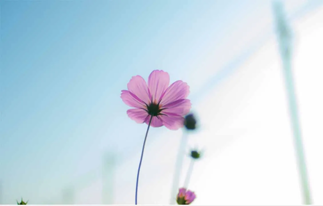 株式会社ひなた石材