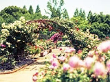 花咲く人気のガーデニング霊園特集