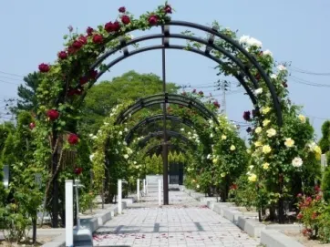フジパーク霊園　新潟(善徳院墓園)