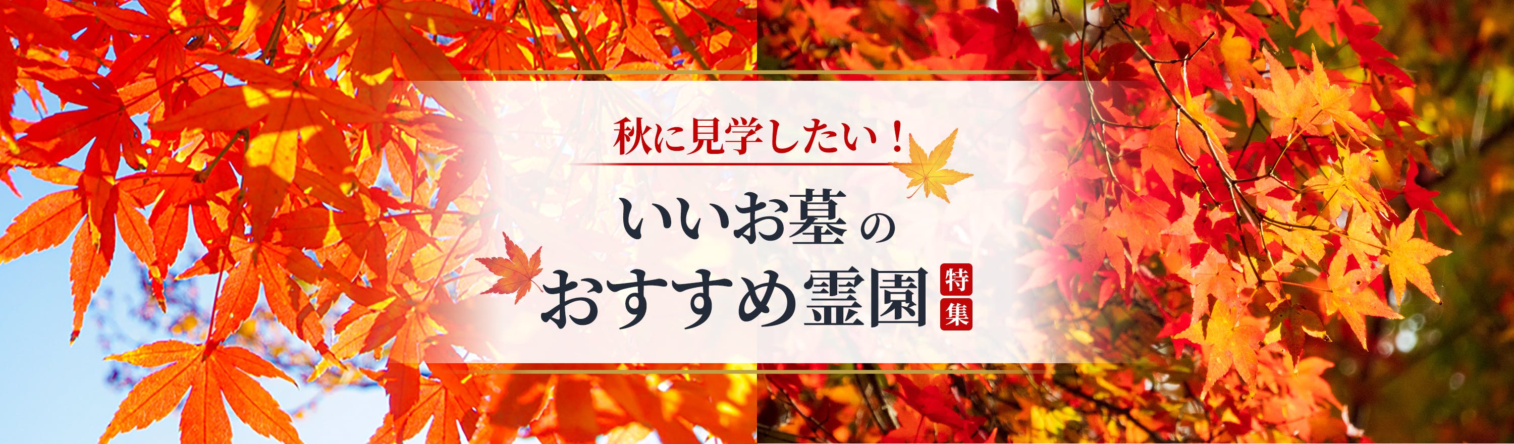 紅葉が綺麗な霊園をご紹介いたします。資料請求・見学予約は無料！ 自然豊かなガーデニング霊園や車椅子でも安心のバリアフリー霊園、ペットと入れる、駅から歩けるなどさまざまな魅力。【いいお墓】