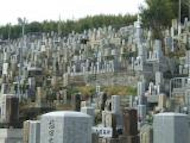 見上げると、多くの墓石が立ち並ぶ
