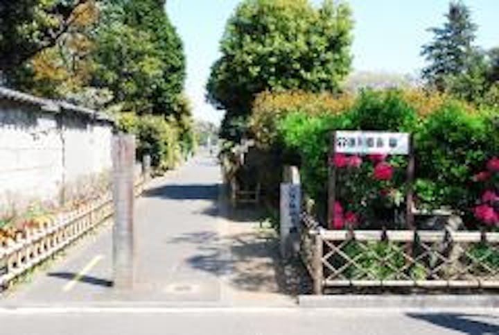徳川家墓地や著名人の墓には、由来や行き先をしめす案内板が設けられており、記念撮影している姿も見られた