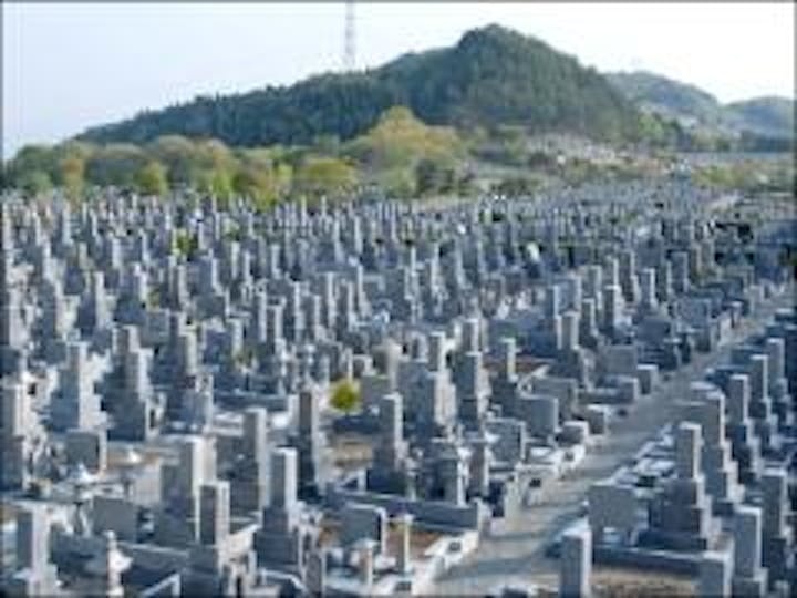 平地に和型の墓碑が並ぶ、一般墓所
