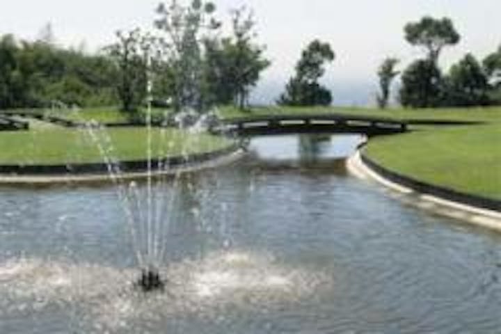 霊園のシンボル的存在の噴水と池