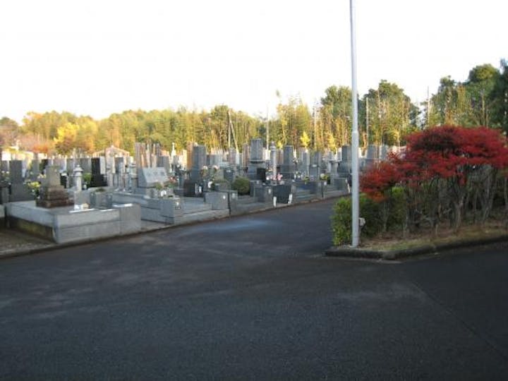 緑に囲まれた墓地。