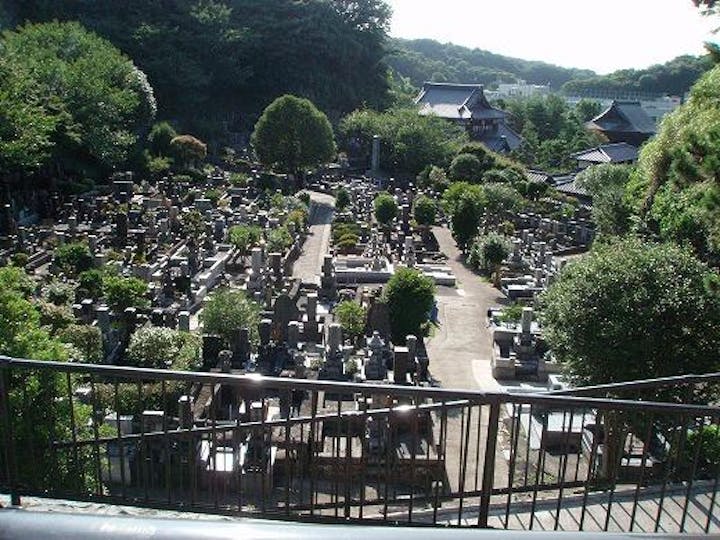 高台から見下ろした墓所の風景