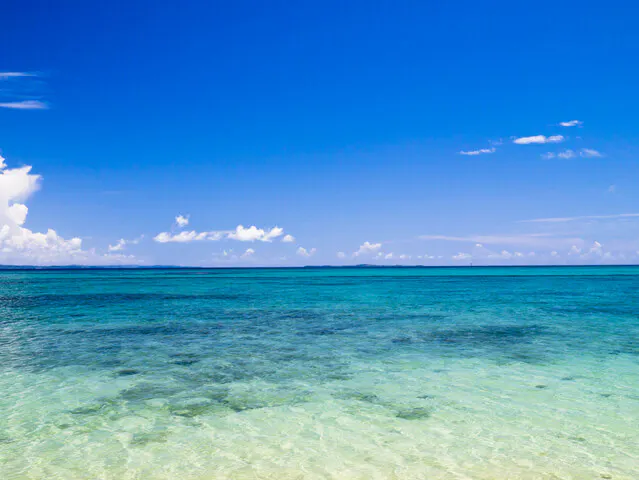 海洋散骨