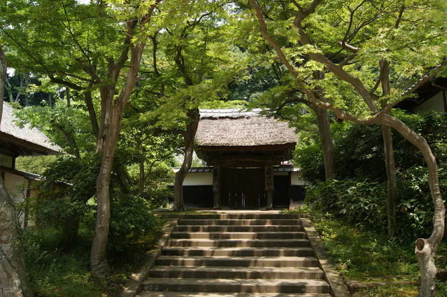 円覚寺 居士林