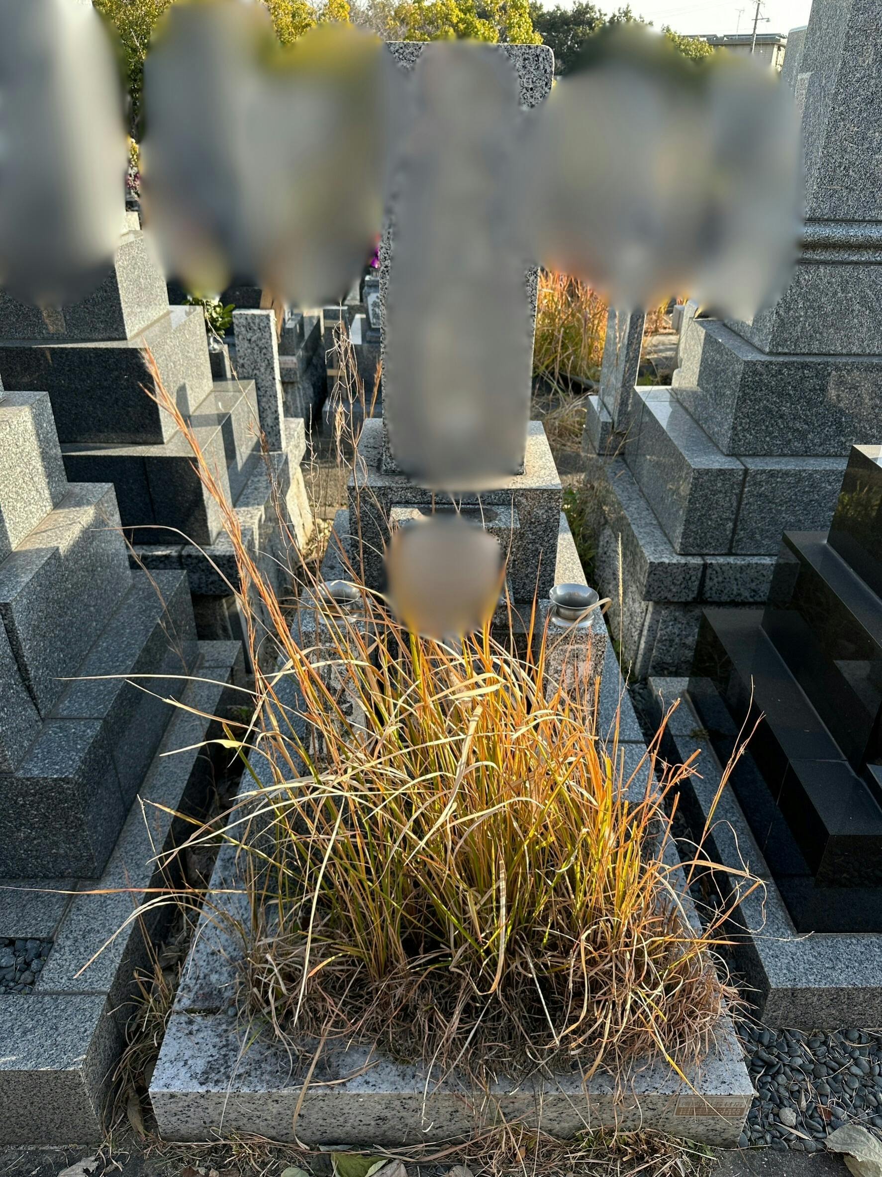 半田市営 北部墓地のお墓の墓石撤去前