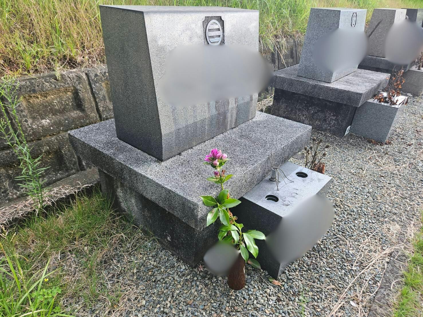 高知市一宮墓地公園のお墓の墓石撤去前